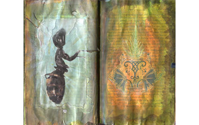 Sketchbook
